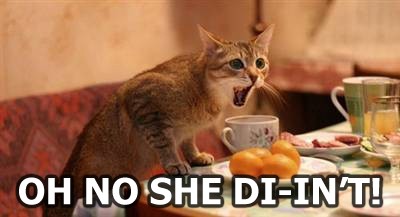 lolcatsdotcomph1bn8ragyuj06jp