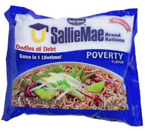 sallie mae oodles